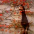 104 - dreamy autumn - XIA Donghai - china